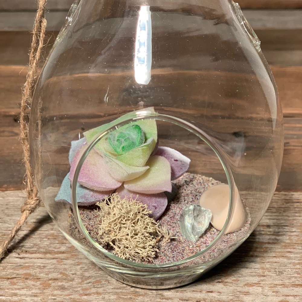 Terrariums!! - Picture 6 of 6